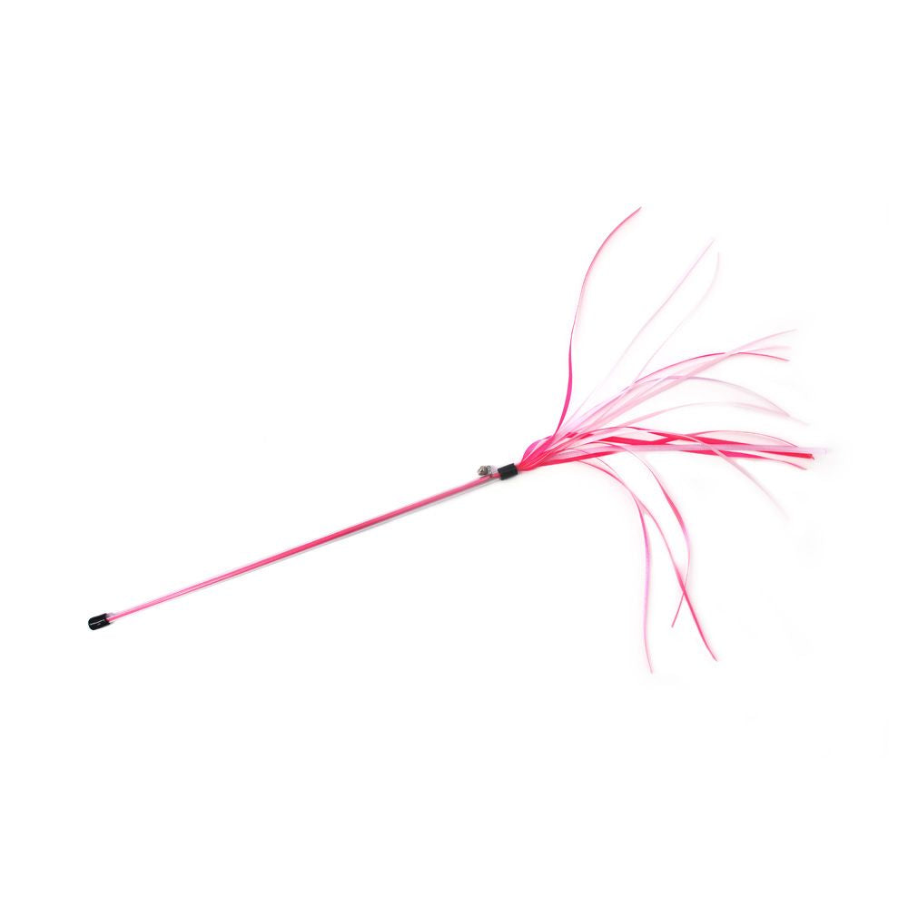 TeaZ'r Ribbon • Medium (30 cm)