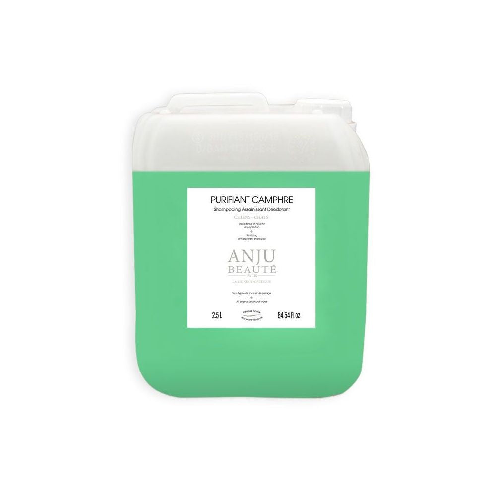 Anju Beauté - Purifiant Camphre - Shampoing assainissant déodorant