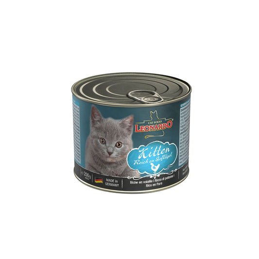 6x Leonardo - Kitten