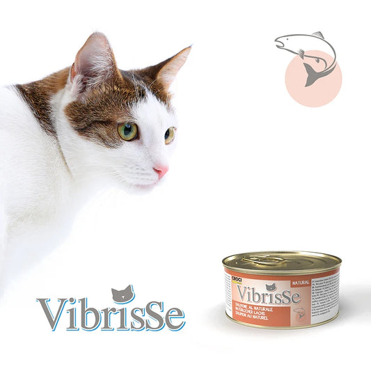Vibrisse - Salmon