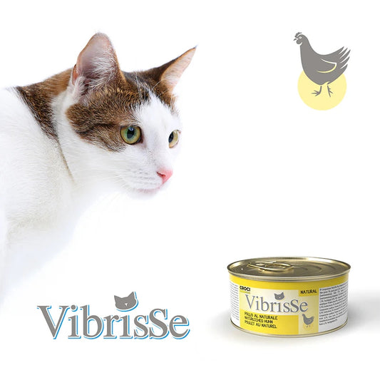 Vibrisse - Chicken
