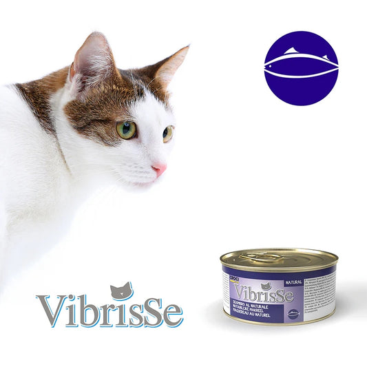 Vibrisse - Mackerel