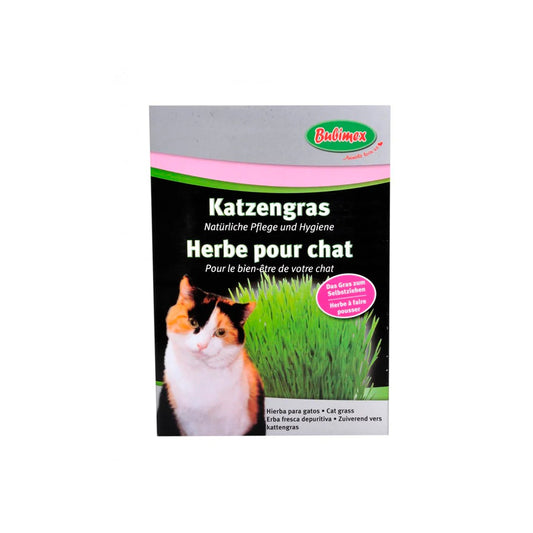 Bubimex - Herbe à chat - 100 g