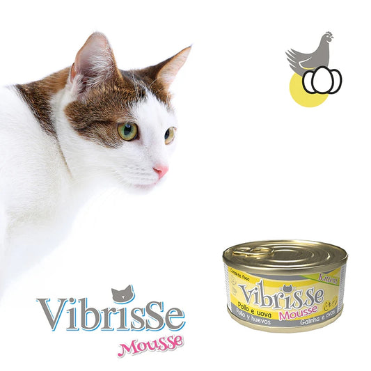 Vibrisse Kitten - Mousse - Chicken & Eggs