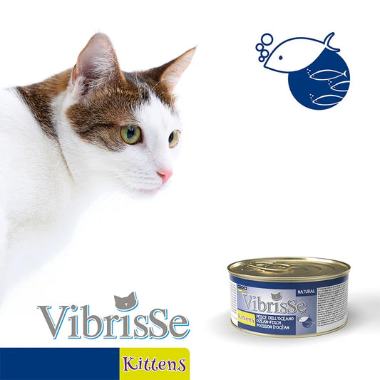 Vibrisse Kitten - Ocean Fish