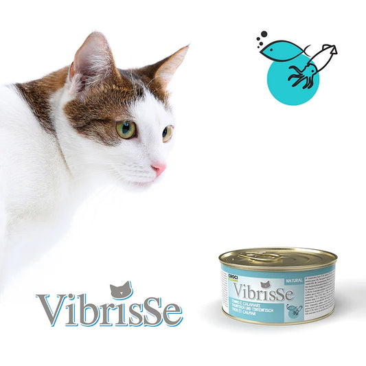 Vibrisse - Tuna & Squid