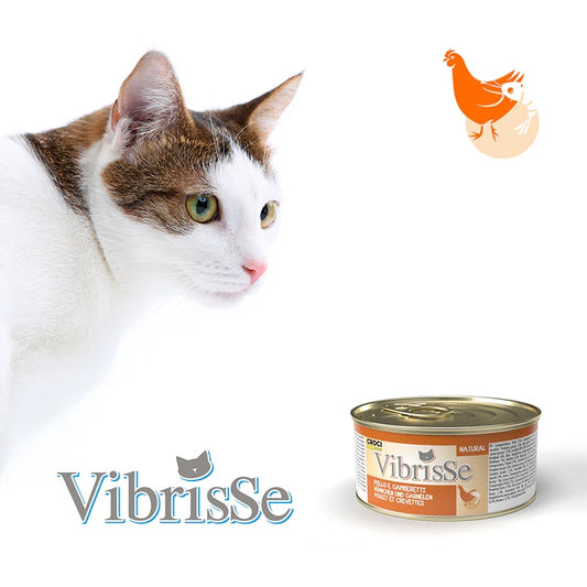 Vibrisse - Chicken & Shrimps