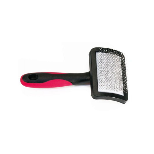Brosse Carde - Petite