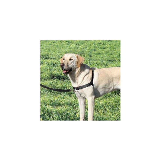 Harnais Easy Walk Chien - Taille S