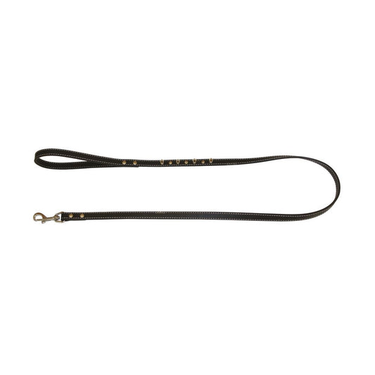 Laisse en cuir - Studs
