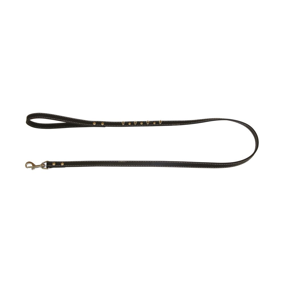 Laisse en cuir - Studs