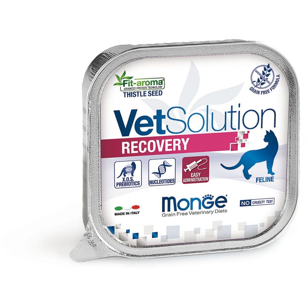 Monge - Cat Recovery