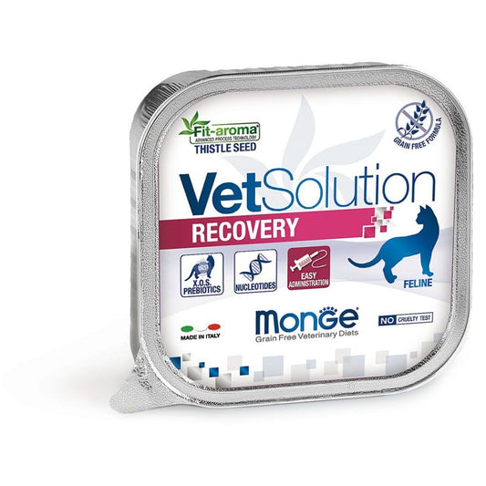 Monge - Cat Recovery