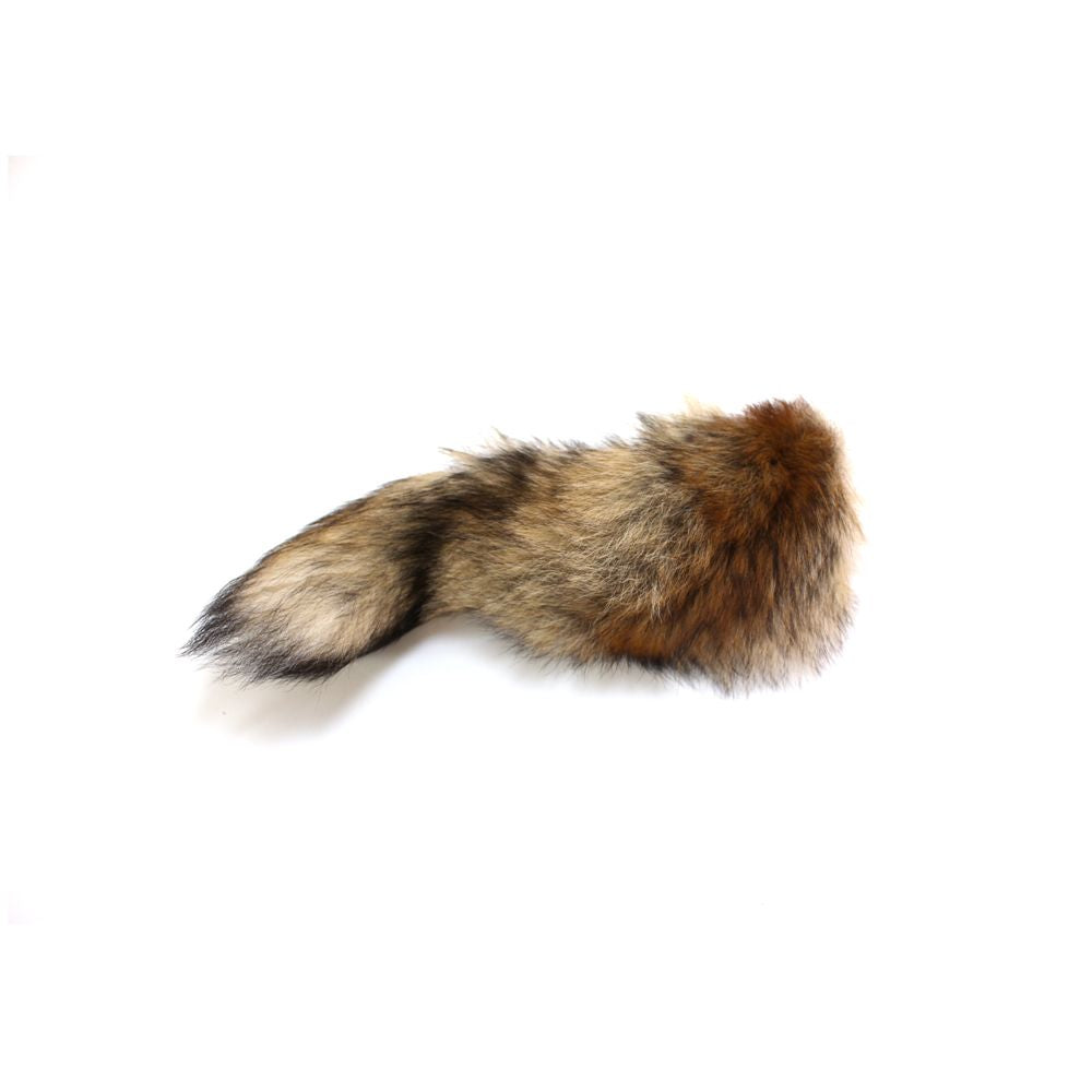 Queue de renard - Petite
