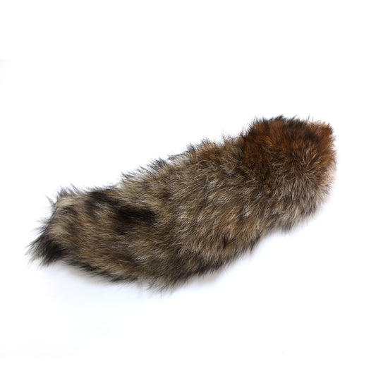 Queue de renard - Grande