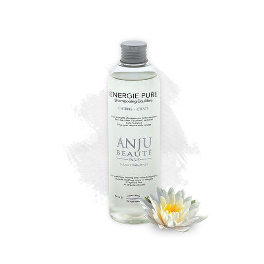 Anju Beauté - Energie Pure - Shampoing équilibre
