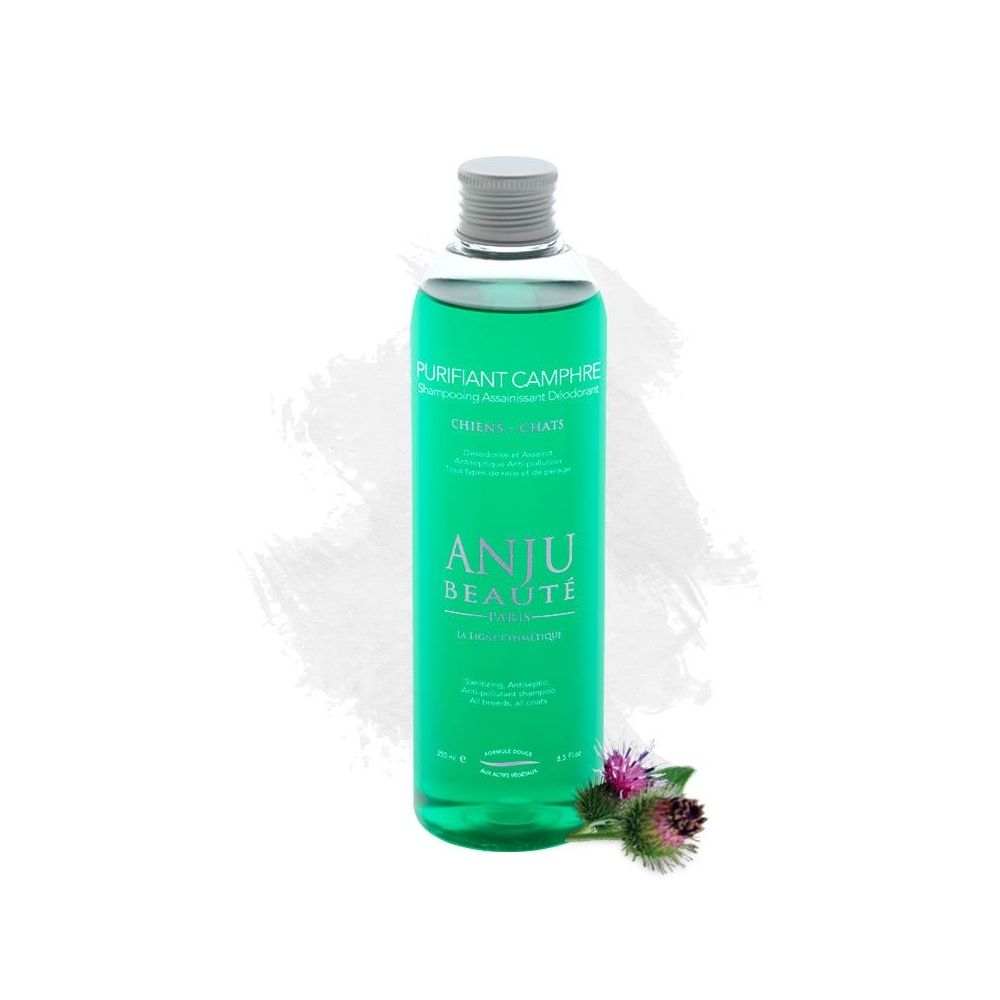 Anju Beauté - Purifiant Camphre - Shampoing assainissant déodorant