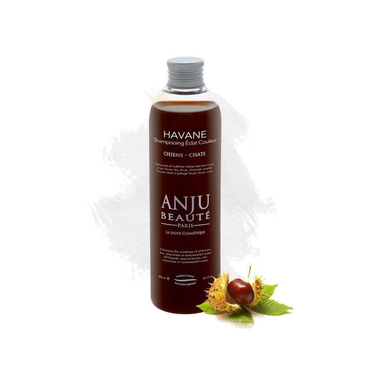 Anju Beauté - Havane - Shampoing spécial fauve - feu - brun - roux - tortie