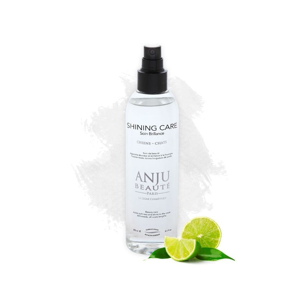 Anju Beauté - Shining Care - Soin brillance - Spray