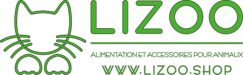 LIZOO