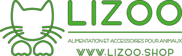 LIZOO