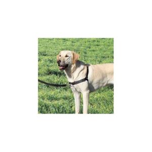 Harnais Easy Walk Chien - Taille L